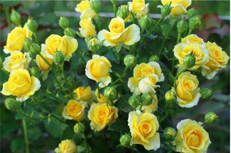 Сан Сити (Sun City) НЕКОНДИЦИЯ